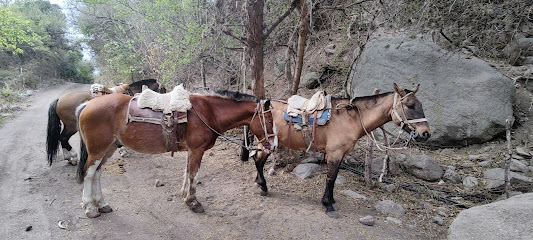 Cabalgatas La Pampa Redonda del Uritorco