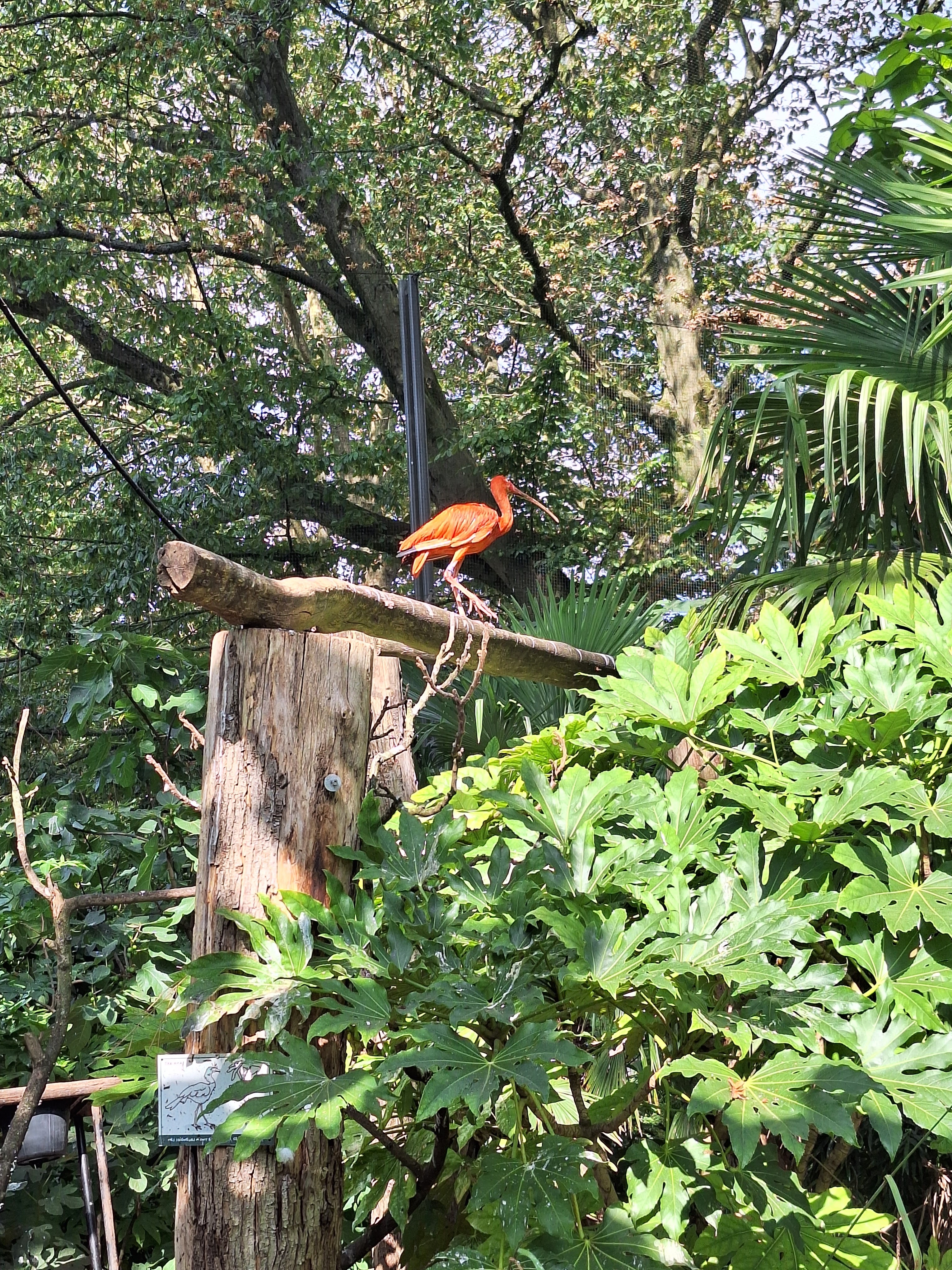 Photo n° 2 de l'avis de Alison.e fait le 31/08/2023 à 11:30