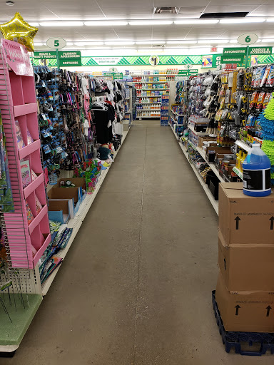 Dollar Store «Dollar Tree», reviews and photos, 2100 US Hwy 641 N, Camden, TN 38320, USA