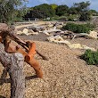 Cottesloe Nature Discovery Space