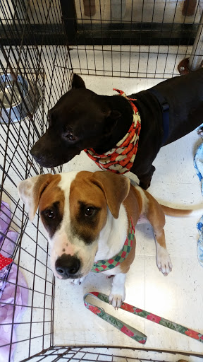 Pet Supply Store «PetSmart», reviews and photos, 2435 NW Federal Hwy, Stuart, FL 34994, USA