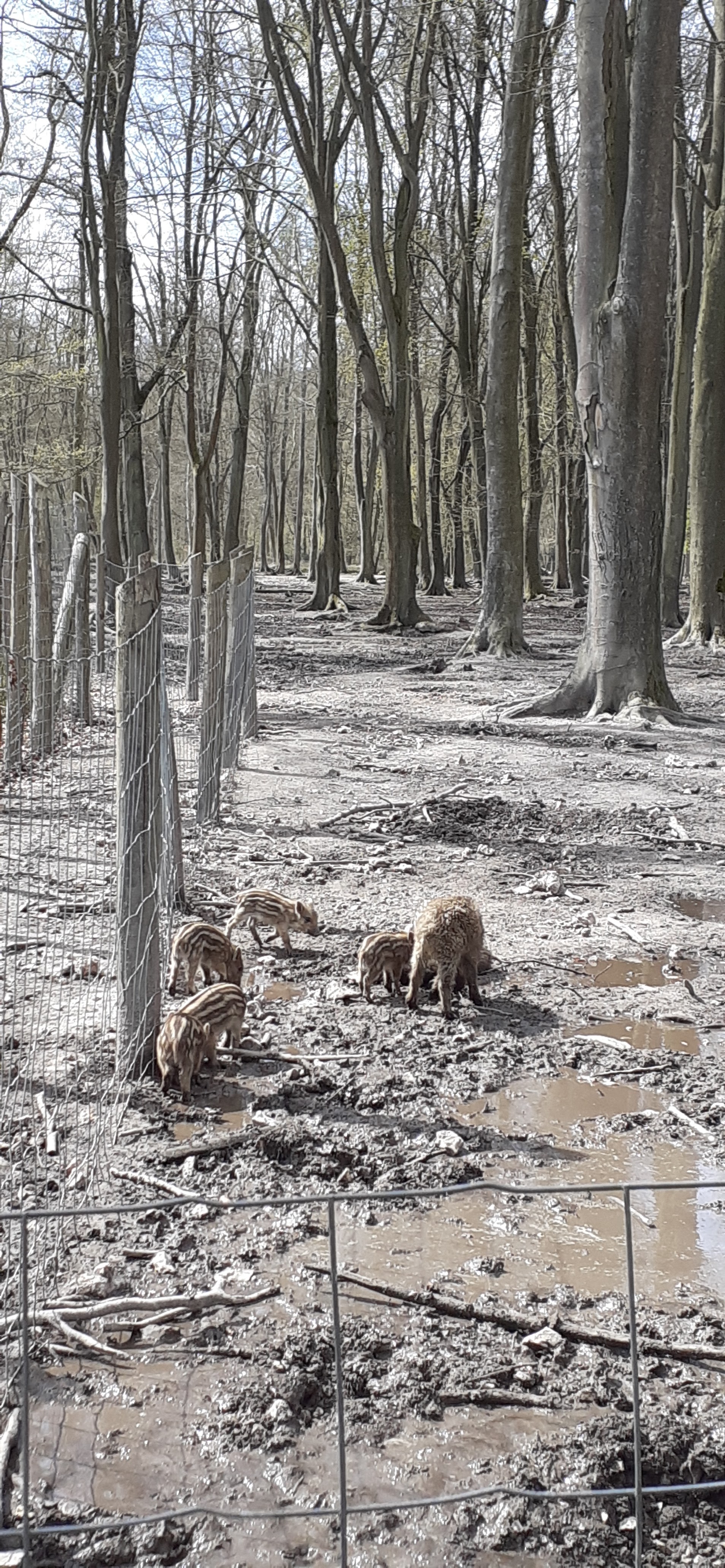 Photo n° 1 de l'avis de Brigitte.o fait le 11/04/2022 à 12:59