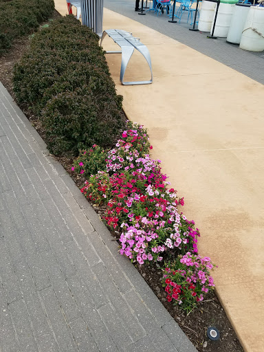 Performing Arts Theater «Civic Center Music Hall», reviews and photos, 201 N Walker Ave, Oklahoma City, OK 73102, USA