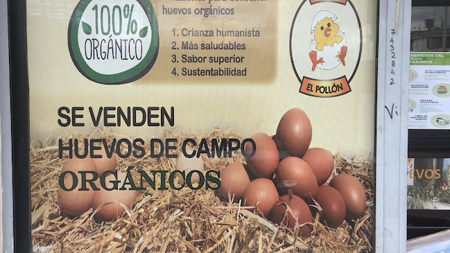 Opiniones de Huevos Orgánicos “EL POLLÓN” en Latacunga - Tienda de ultramarinos