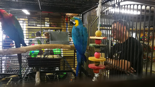 Bird Barn Pet Store