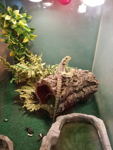 Shopping Mall «Pleasant Valley Shopping Center», reviews and photos, 7524 Broadview Rd, Cleveland, OH 44134, USA