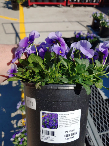 Home Improvement Store «The Home Depot», reviews and photos, 701 Boston Post Rd E, Marlborough, MA 01752, USA