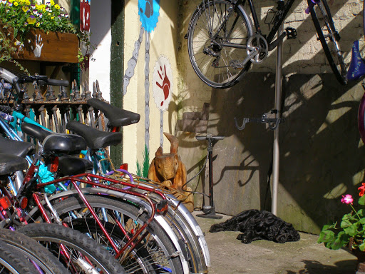 Bicycle lessons Belfast