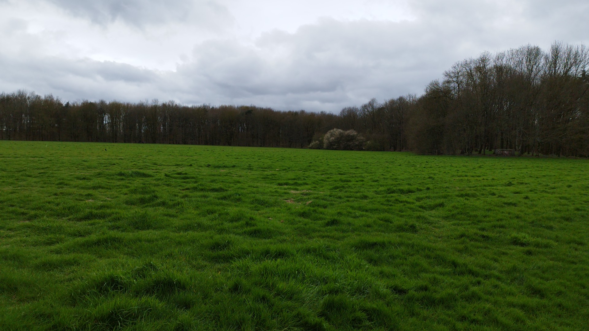 Photo n° 12 de l'avis de Eric.o fait le 09/05/2019 à 04:42