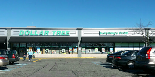 Dollar Store «Dollar Tree», reviews and photos, 5014 Jericho Turnpike, Commack, NY 11725, USA