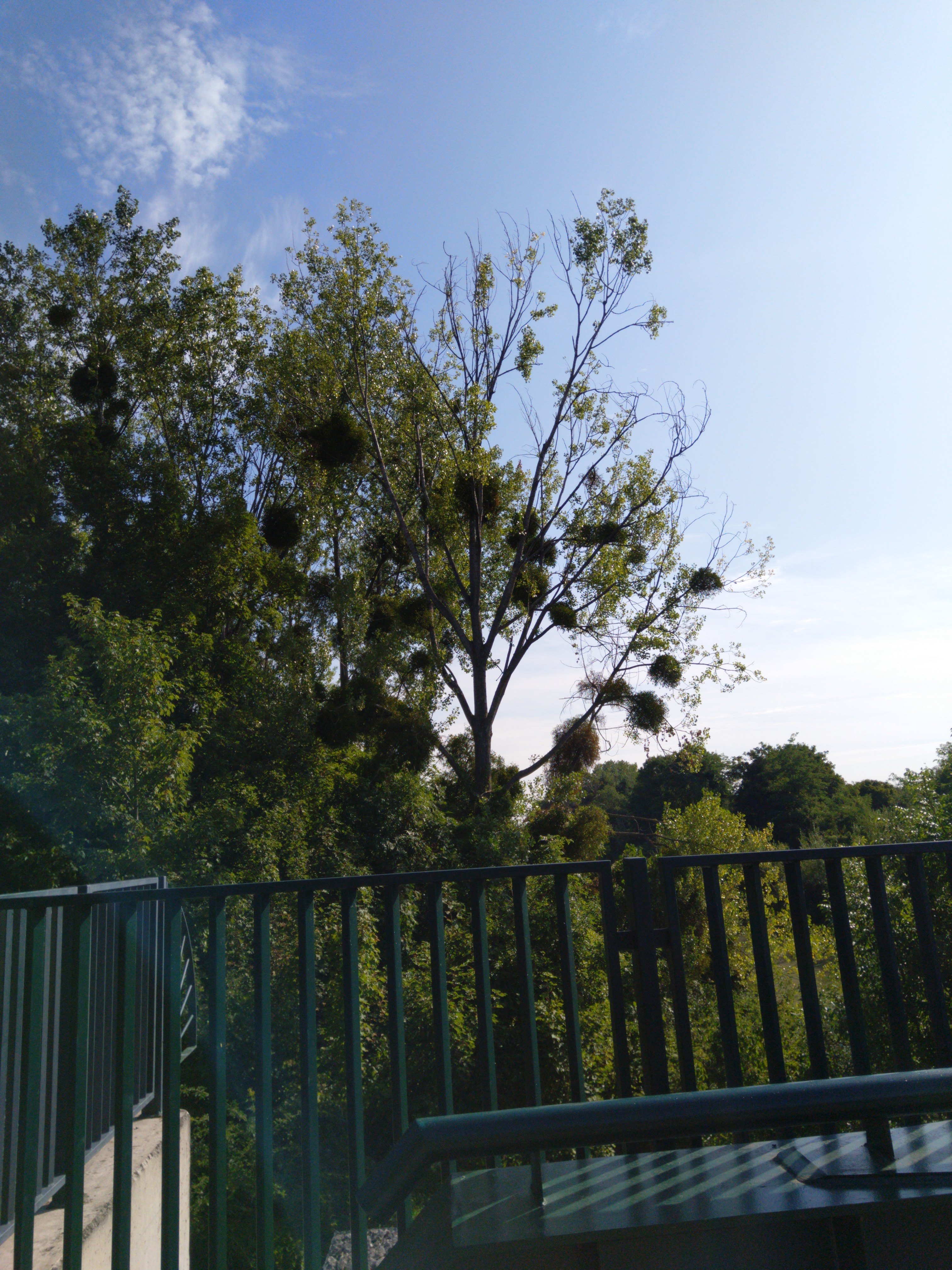 Photo n° 7 de l'avis de Fokop.i fait le 11/08/2018 à 16:27