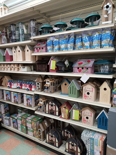 Home Goods Store «Christmas Tree Shops», reviews and photos, 1505 S Washington St, North Attleborough, MA 02760, USA