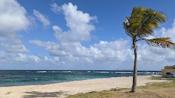 Dawn beach'in fotoğrafı ve yerleşim