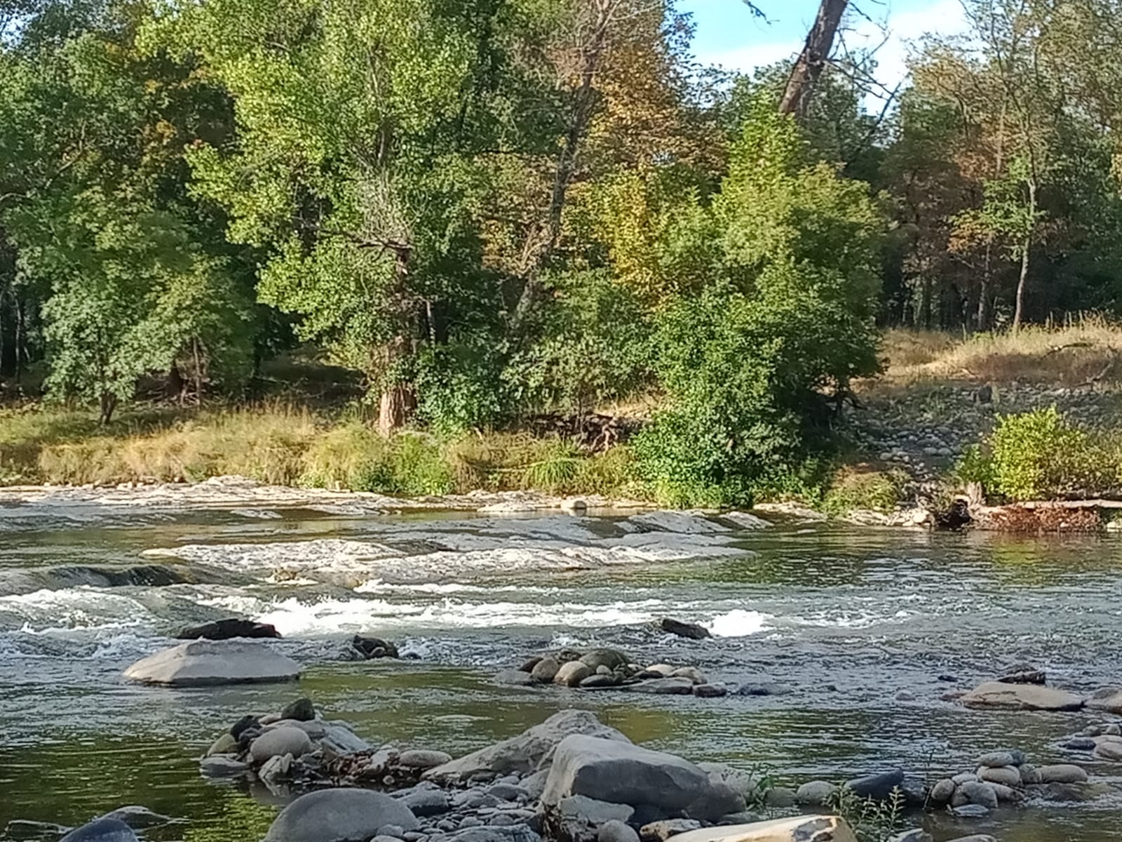 Photo n° 4 de l'avis de Véro.e fait le 02/09/2023 à 13:09