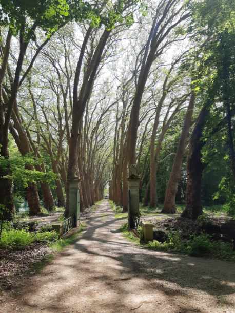 Photo n° 11 de l'avis de Olive.. fait le 01/05/2022 à 09:06