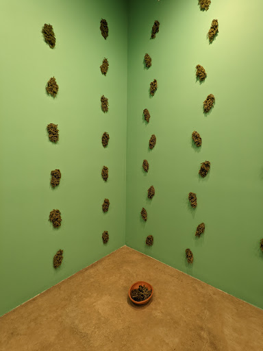 Art Gallery «Tanya Bonakdar Gallery», reviews and photos, 521 W 21st St #1, New York, NY 10011, USA