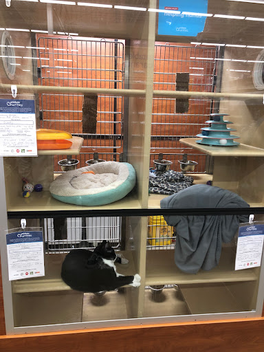 Pet Supply Store «PetSmart», reviews and photos, 1417 W Interstate 240 Service Rd, Oklahoma City, OK 73159, USA