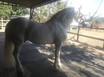 Parker Hedrick Trucking - Photo 2 - Car repair in Riverside, CA, Jurupa Valley