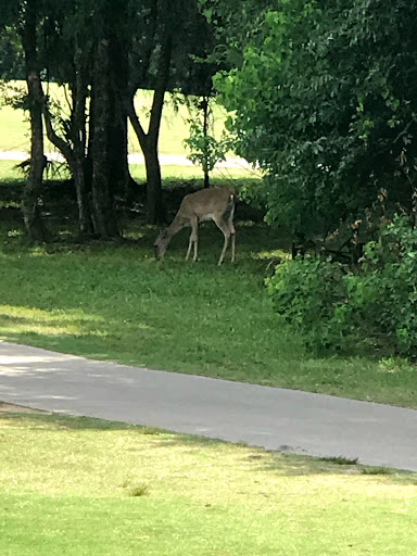 Country Club «West Fork Golf & Country Club», reviews and photos, 1 Golf Rdg, Conroe, TX 77304, USA