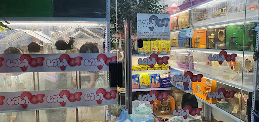 Top 1 cửa hàng lolipet Huyện Trấn Yên Yên Bái 2022