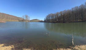 Lago Scuro Ruoti