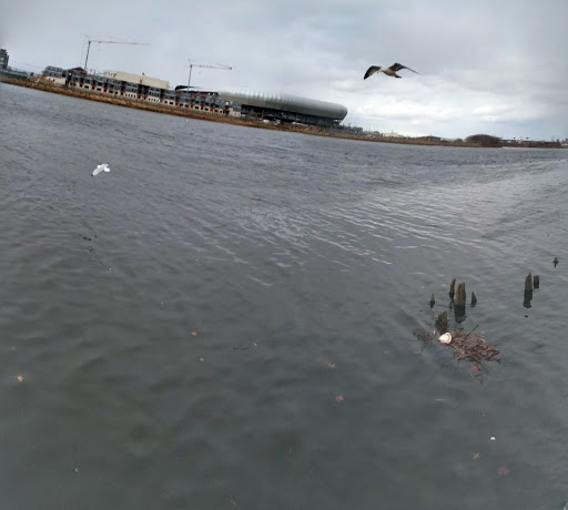 Arena «Red Bull Arena», reviews and photos, 600 Cape May St, Harrison, NJ 07029, USA