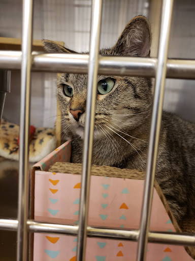 Pet Supply Store «PetSmart», reviews and photos, 111 Nassau Park Blvd, Princeton, NJ 08540, USA