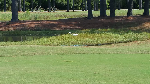 Golf Club «Kilmarlic Golf Club», reviews and photos, 215 West Side Ln, Powells Point, NC 27966, USA