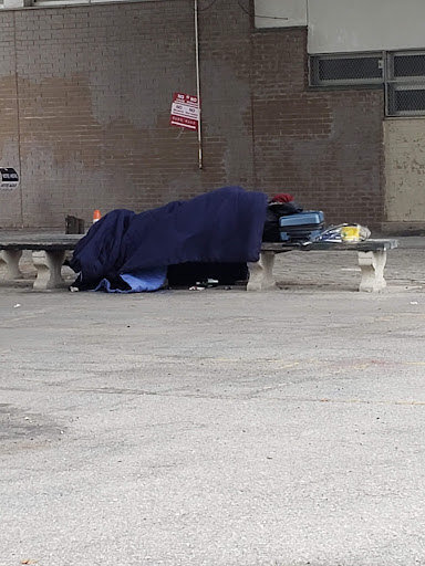 Park «John J. Carty Park», reviews and photos, Fort Hamilton Pkwy, Brooklyn, NY 11209, USA