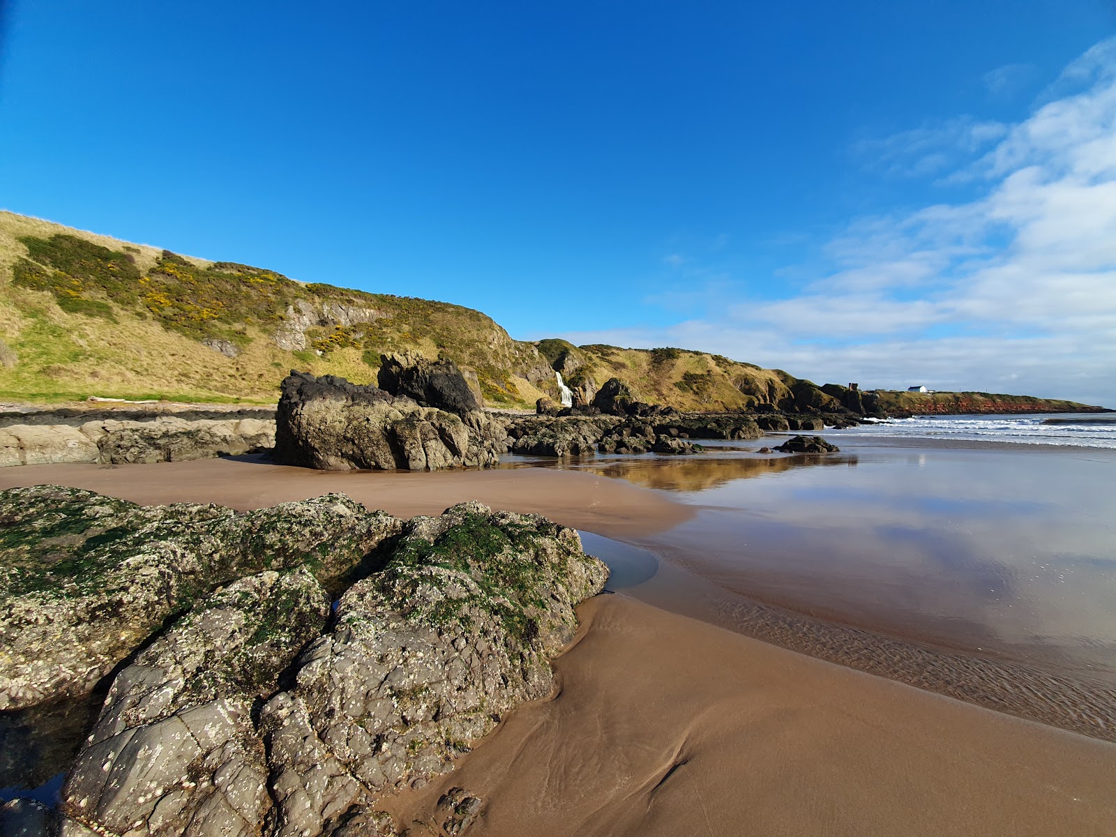 Foto di St Cyrus Beach con una superficie del sabbia beige