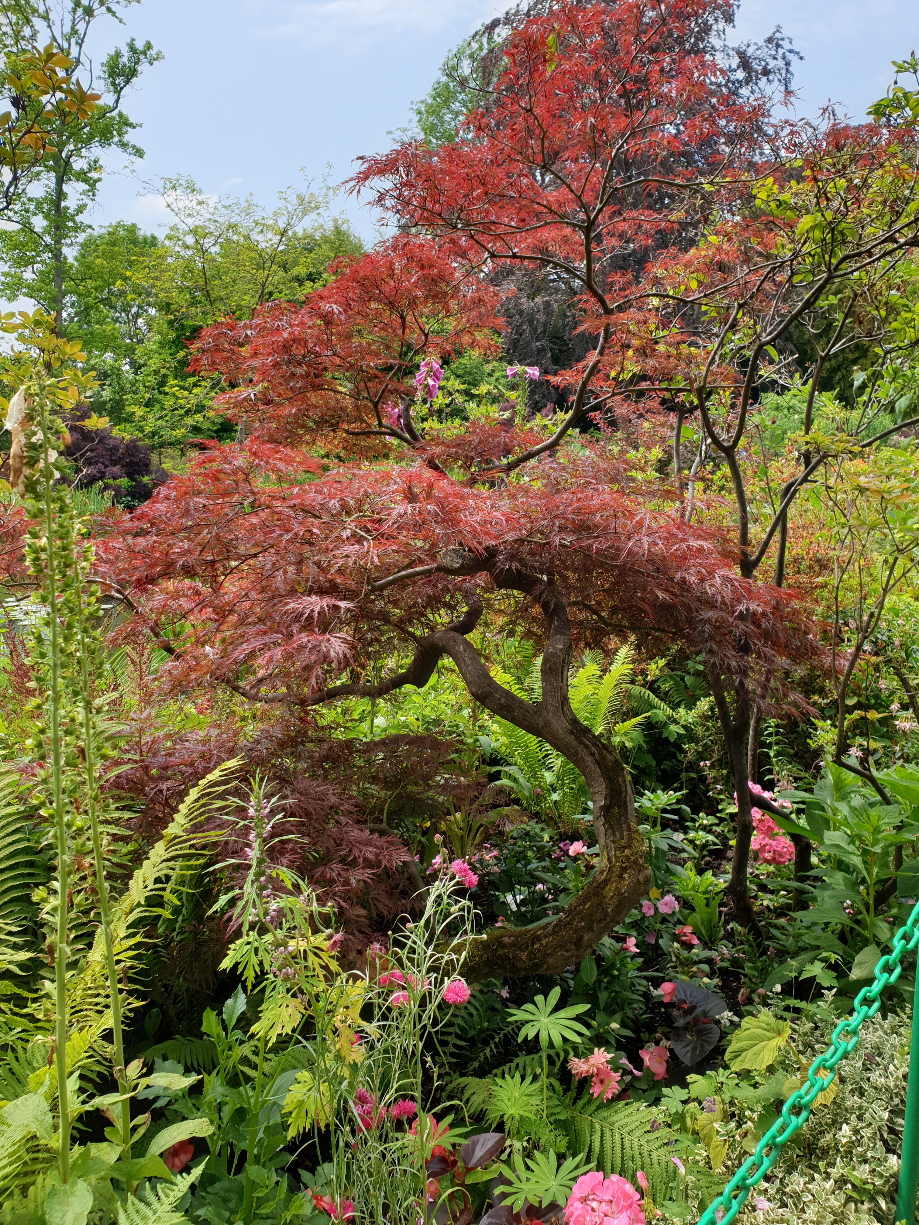 Photo n° 1 de l'avis de Vero.o fait le 12/06/2023 à 18:19