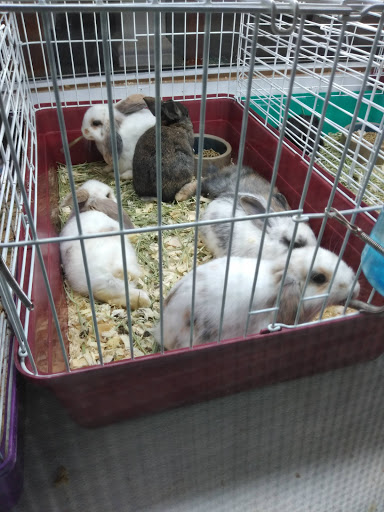 Pet Supply Store «Pet Station Jackson», reviews and photos, 1617 E Michigan Ave, Jackson, MI 49202, USA