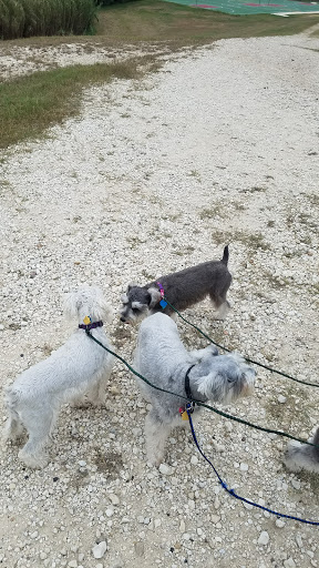 Park «Pearsall Park», reviews and photos, 4838 Old Pearsall Rd, San Antonio, TX 78242, USA