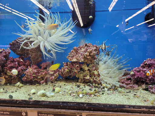 Pet Supply Store «Petco Animal Supplies», reviews and photos, 22000 Dulles Retail Plaza #110, Sterling, VA 20166, USA