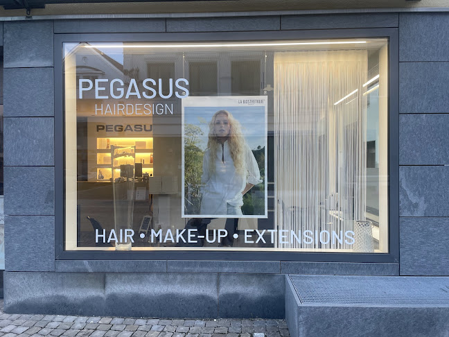 PEGASUS Hairdesign - Friseursalon