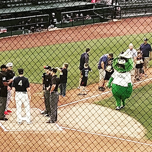 Stadium «Hank Aaron Stadium», reviews and photos, 755 Bolling Brothers Blvd, Mobile, AL 36606, USA