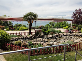 Modern English International School