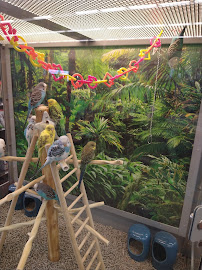 Petco - Photo 3 - Car repair in El Monte, CA, Fullerton