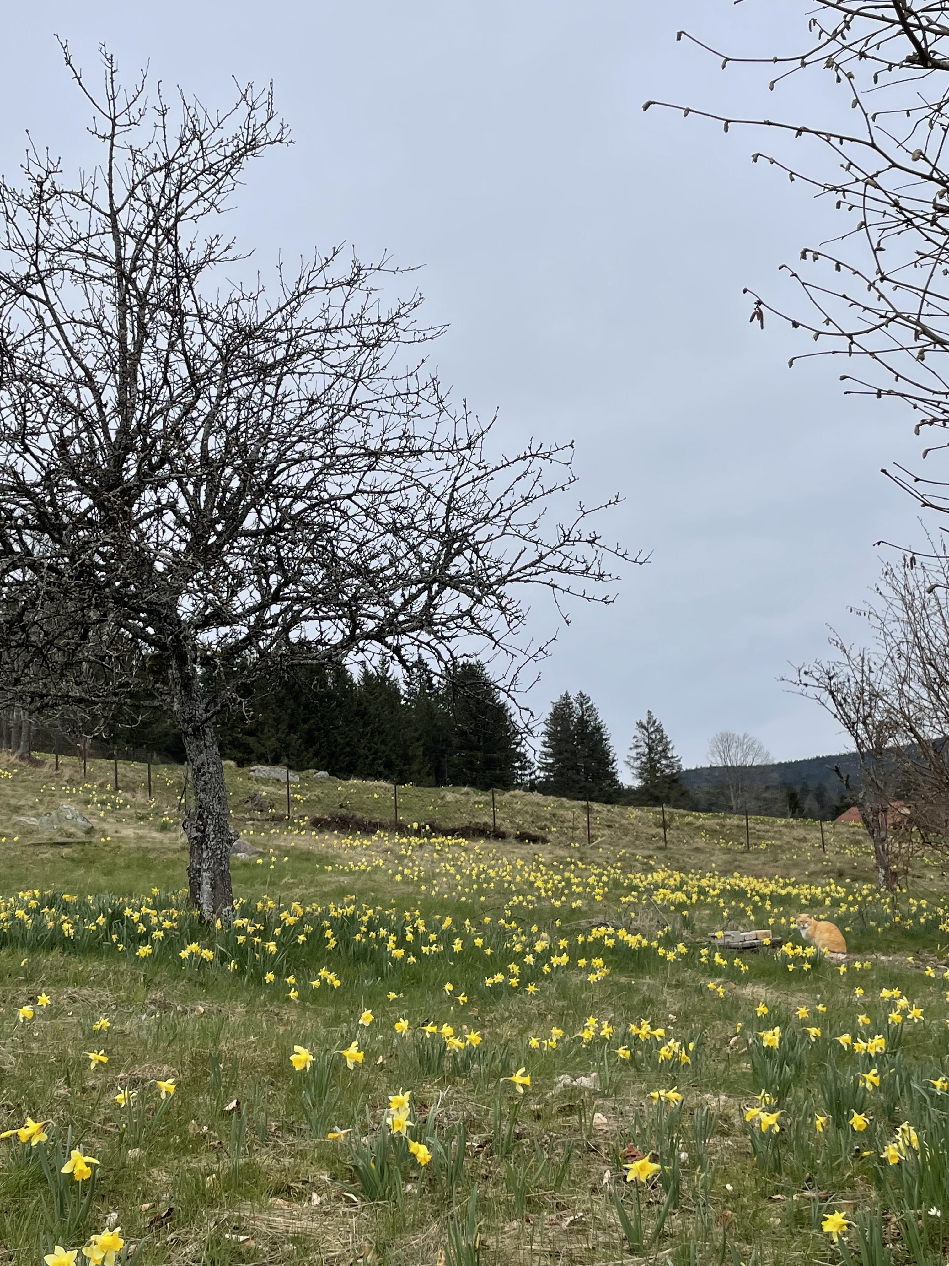 Photo n° 5 de l'avis de Estelle.h fait le 12/04/2023 à 14:14