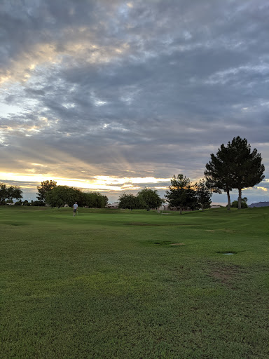 Golf Course «Springfield Golf Resort», reviews and photos, 1200 E St Andrews Blvd, Chandler, AZ 85249, USA