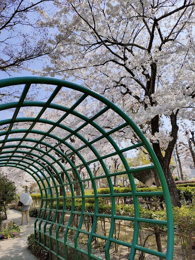 明石市立花と緑の学習園・みどりの相談所