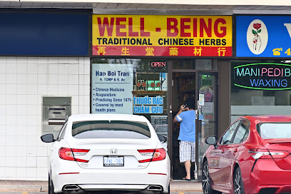 Well-Being Traditional Chinese Herbs & Acupuncture