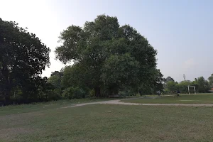 Football Field Barhiya image