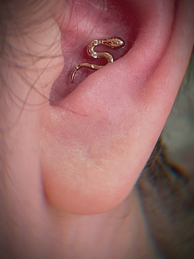 Explore tattoo sleeve shading ideas, creative tattoo ideas in Victoria, available at TRIED and True Tattoos Piercings