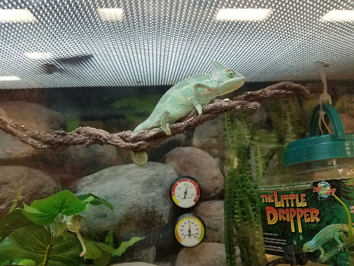 Pet Supply Store «Petco Animal Supplies», reviews and photos, 13311 20th Ave, College Point, NY 11356, USA