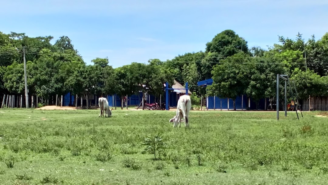 Istitucion Educativa La ceiba