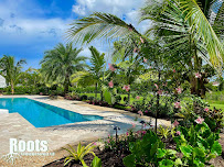 Roots Landscape Service, LLC - Photo 4 - Car repair in , West Palm Beach