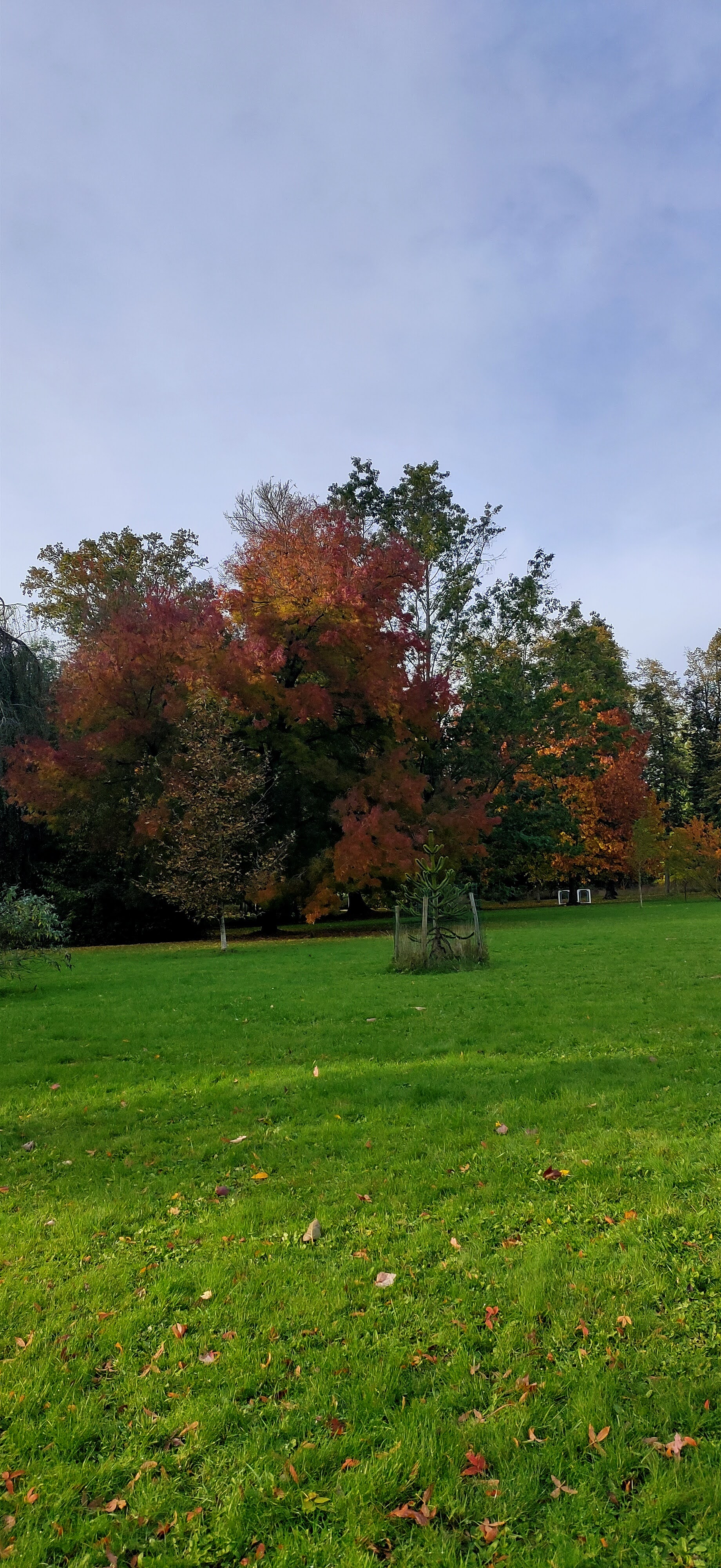 Photo n° 2 de l'avis de Marie.a fait le 21/11/2023 à 13:26