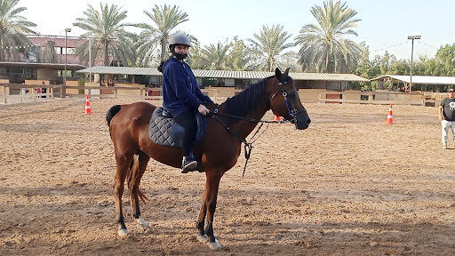 Just Ladies Horse Riding School-Dubai