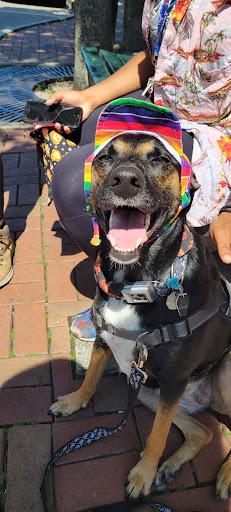 Pet Supply Store «Bark Harbor», reviews and photos, 150 Main St # 3, Bar Harbor, ME 04609, USA